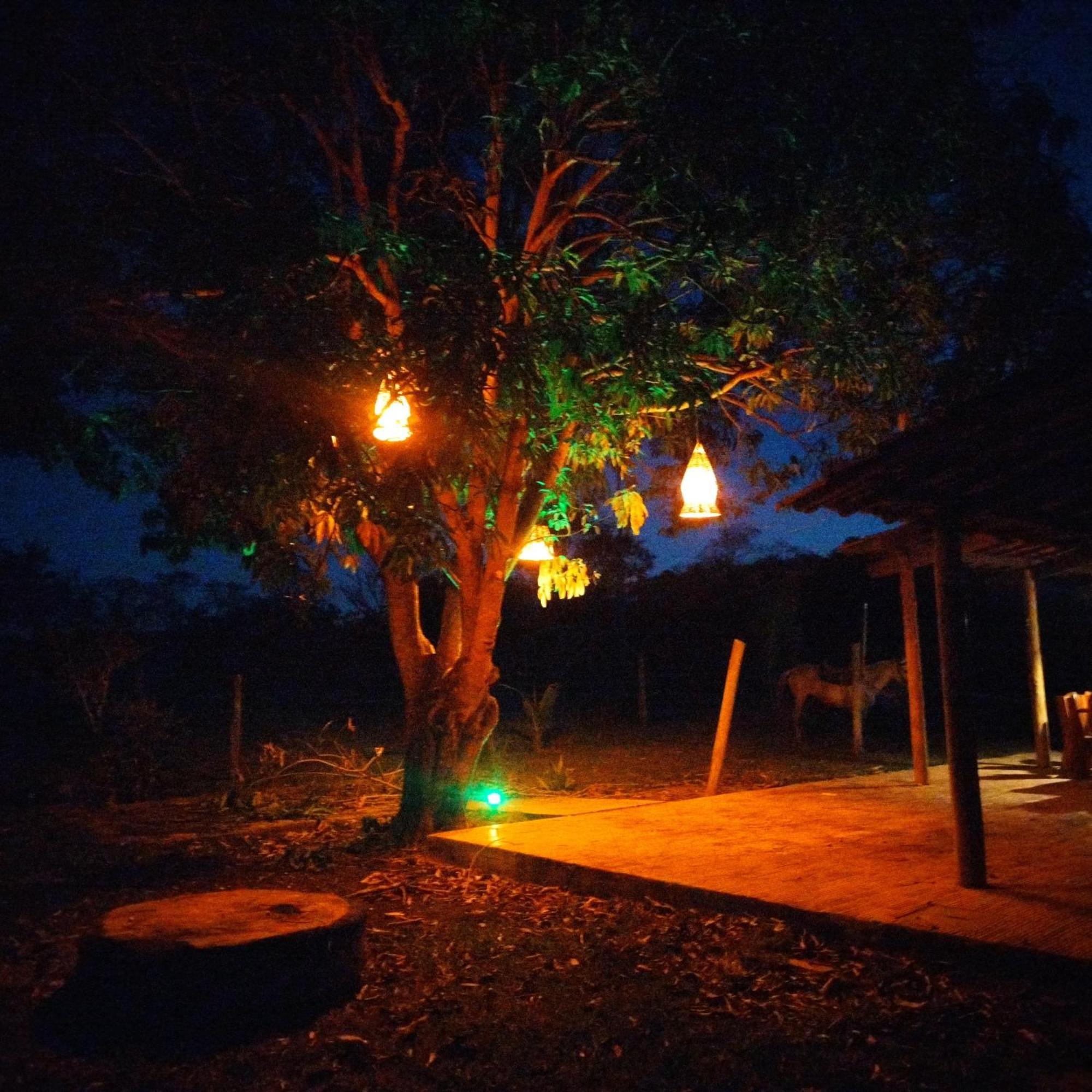 Fazenda Com Piscina E Churrasqueira Br-135 Proximo Curvelo Corinto E Morro Da Garca Luaran gambar